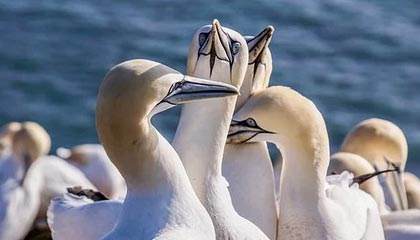 华体会APP-AG体育：掌上竞技的全新热潮，安全、刺激、负责的娱乐新选择